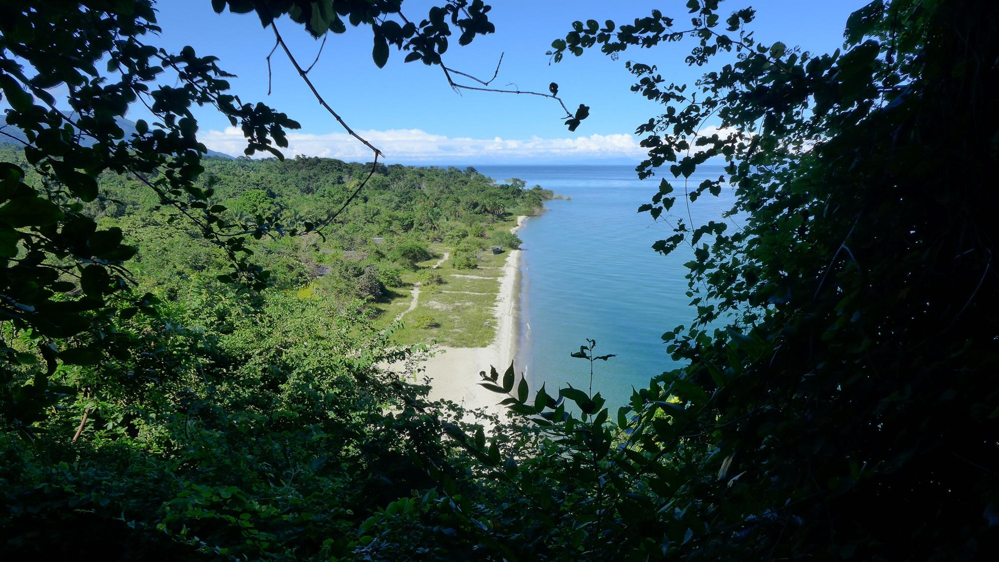 Empty white-sand beach framed by forest foliage on the Mahale shoreline