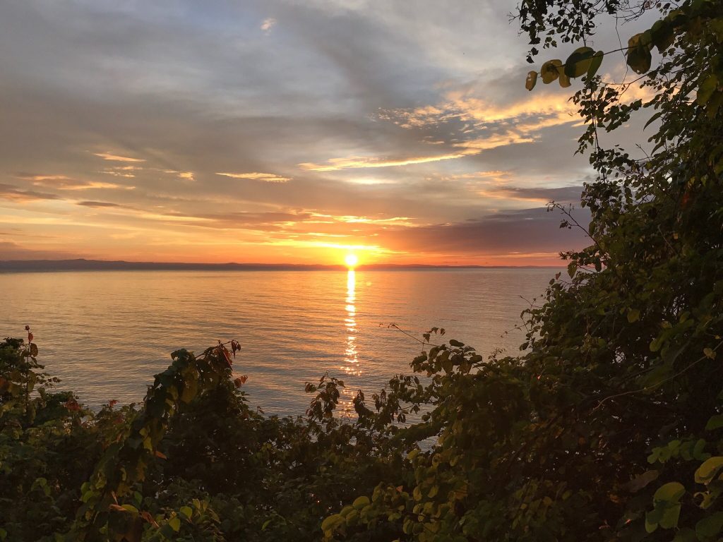 Orange sunset framed by dark hillside leaves, Mahale Mountains National Park, Tanzania