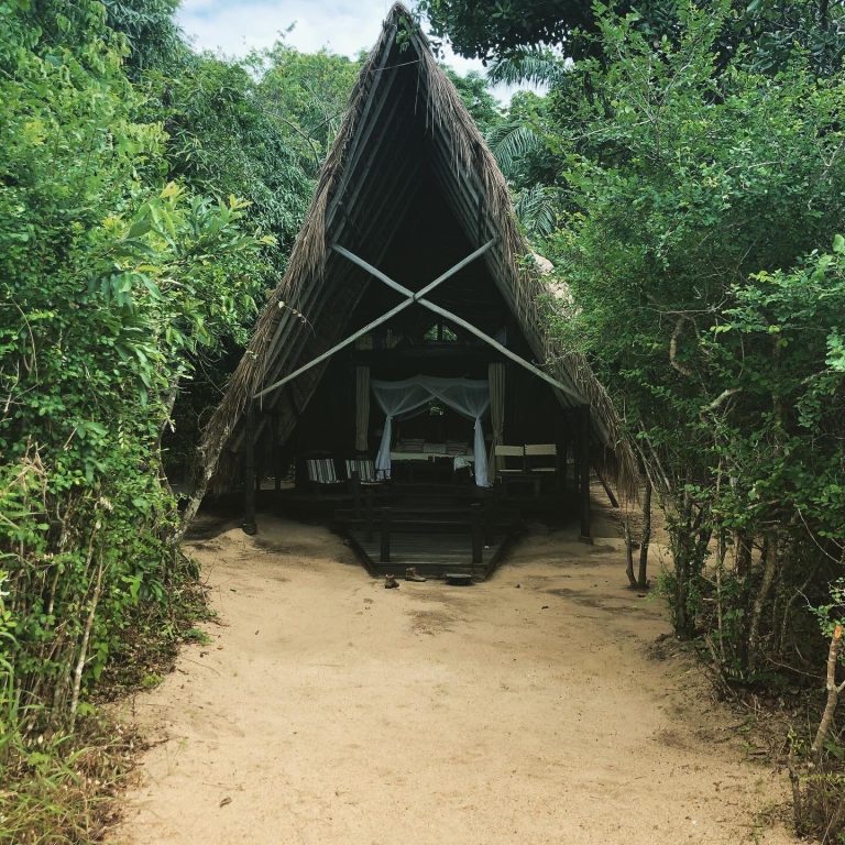 Thatched a frame banda from sandy path, Mahale Mountains National Park, Tanzania