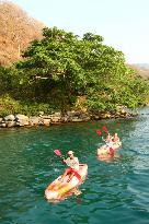 Two kayaks paddling below the forested rocky shore of Mahale